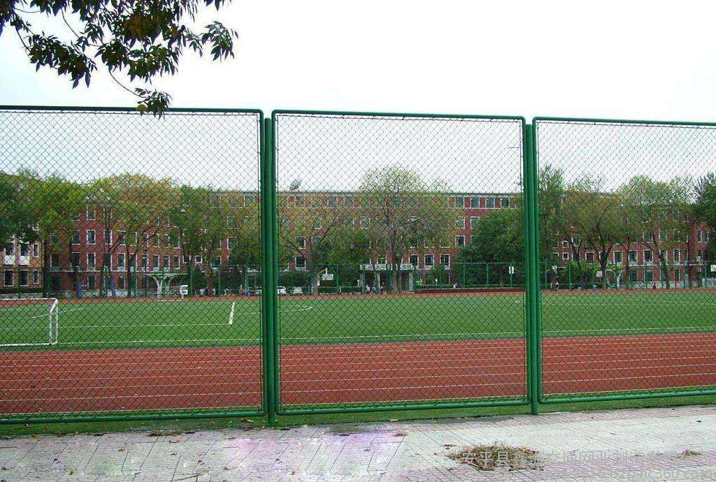 南圣镇学校护栏网